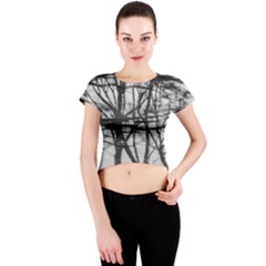 Tree Lines Crew Neck Crop Top by RoseanneJonesPhotography