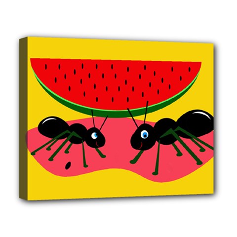 Ants And Watermelon  Deluxe Canvas 20  X 16   by Valentinaart