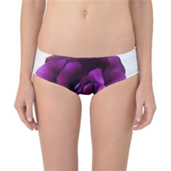 15   195romdop Classic Bikini Bottoms