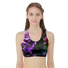 Picmix Com 5055976 Sports Bra With Border