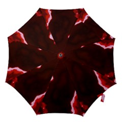 Crimson Sky Hook Handle Umbrellas (medium)