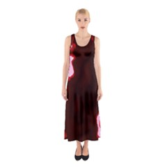 Crimson Sky Sleeveless Maxi Dress by TRENDYcouture