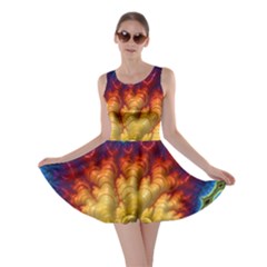 Amazing Special Fractal 25a Skater Dress by Fractalworld