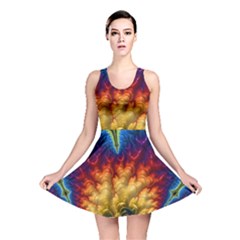 Amazing Special Fractal 25a Reversible Skater Dress by Fractalworld