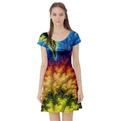 Amazing Special Fractal 25a Short Sleeve Skater Dress