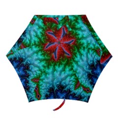 Amazing Special Fractal 25b Mini Folding Umbrellas by Fractalworld