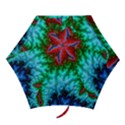 Amazing Special Fractal 25b Mini Folding Umbrellas View1