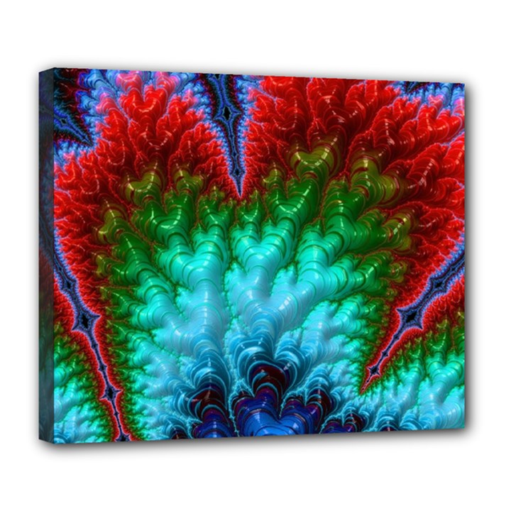 Amazing Special Fractal 25b Deluxe Canvas 24  x 20  