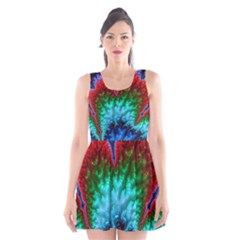 Amazing Special Fractal 25b Scoop Neck Skater Dress