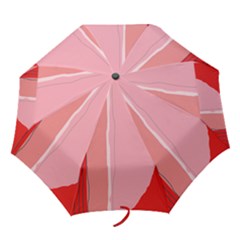 Red And Pink Lines Folding Umbrellas