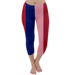 Pink and blue lines Capri Winter Leggings 