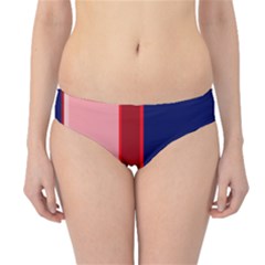 Pink And Blue Lines Hipster Bikini Bottoms by Valentinaart