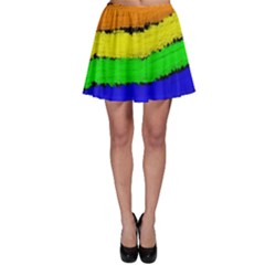 Rainbow Skater Skirt