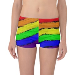 Rainbow Boyleg Bikini Bottoms