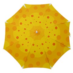 Abstract Sun Straight Umbrellas