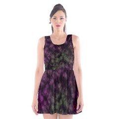 Organic                                                                                         Scoop Neck Skater Dress