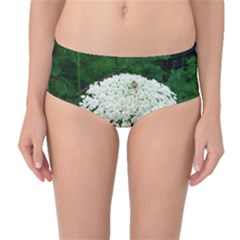 Beetle And Flower Mid-waist Bikini Bottoms