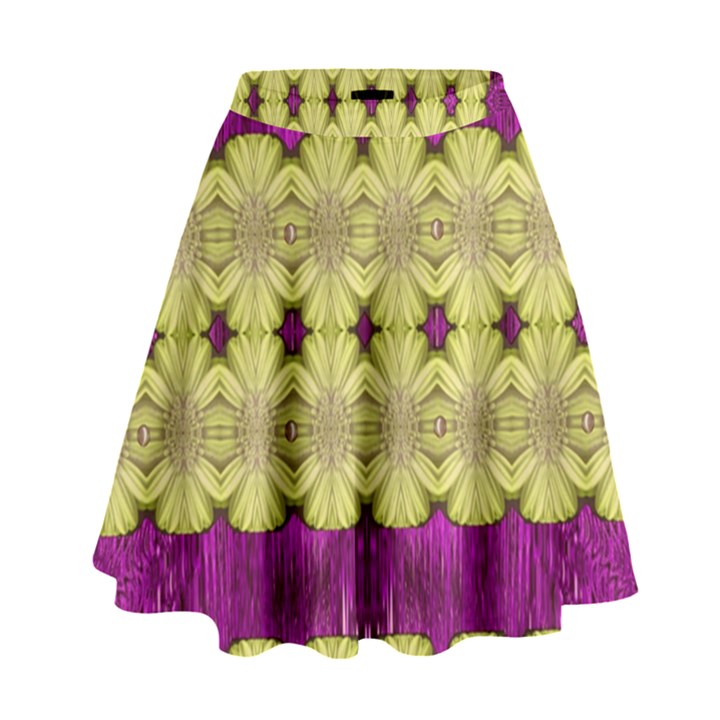  Purple Gold Floral And Paradise Bloom High Waist Skirt