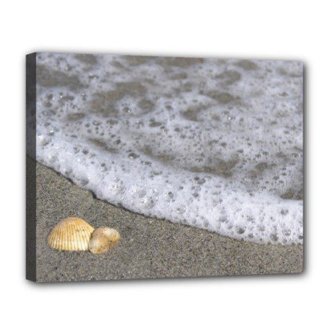 Seashells In The Waves Canvas 14  X 11  by PhotoThisxyz