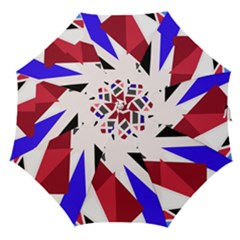 Decorative Flag Design Straight Umbrellas by Valentinaart