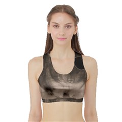 Maggie Chinchillin Sports Bra With Border by tigflea