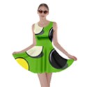 Billiard  Skater Dress View1