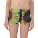 Sunflower Photography  Reversible Boyleg Bikini Bottoms View1