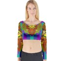 Flower Mice In Peace Balls Pop Art Long Sleeve Crop Top View1