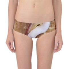 920-pelican Classic Bikini Bottoms