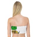 Turtle Bandeau Top View2