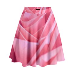 The Rose By Jenah High Waist Skirt