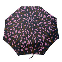 Japanese Tree  Folding Umbrellas