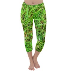 Natures Grass And Shamrock Print  Capri Winter Leggings 