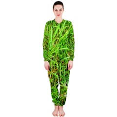 Natures Grass And Shamrock Print  Onepiece Jumpsuit (ladies) 