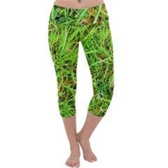 Natures Grass And Shamrock Print  Capri Yoga Leggings by artistpixi