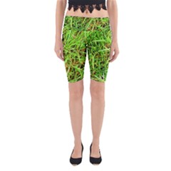 Natures Grass And Shamrock Print  Yoga Cropped Leggings