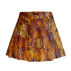 Rusted Metal Surface Mini Flare Skirt by igorsin