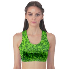 Shamrock Clovers Green Irish St  Patrick Ireland Good Luck Symbol 8000 Sv Sports Bra by yoursparklingshop