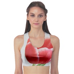 Red Tulip Watercolor Painting Sports Bra by picsaspassion