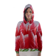 Red Tulip Watercolor Painting Hooded Wind Breaker (women) by picsaspassion