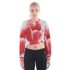 Tulip Red Watercolor Painting Women s Cropped Sweatshirt