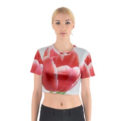 Tulip Red Watercolor Painting Cotton Crop Top by picsaspassion