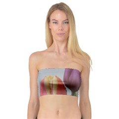 Tulips Bandeau Top