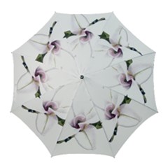 White Magnolia Pencil Drawing Art Golf Umbrellas