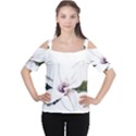 White Magnolia pencil drawing art Women s Cutout Shoulder Tee View1