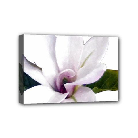 Magnolia Wit Aquarel Painting Art Mini Canvas 6  X 4 