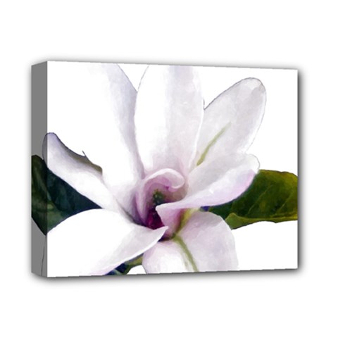 Magnolia Wit Aquarel Painting Art Deluxe Canvas 14  X 11  by picsaspassion