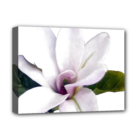 Magnolia Wit Aquarel Painting Art Deluxe Canvas 16  X 12   by picsaspassion