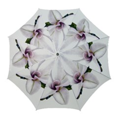 Magnolia Wit Aquarel Painting Art Golf Umbrellas