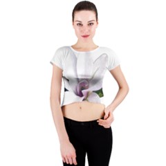 Magnolia Wit Aquarel Painting Art Crew Neck Crop Top by picsaspassion